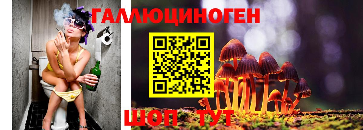 Галлюциногенные грибы GOLDEN TEACHER  Вход с VPN  Медногорск 